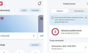 Czy sąd może dać punkty karne? Poznaj prawdę o ich przyznawaniu