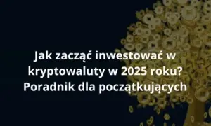 Kryptowaluty dla początkujących: Jak inwestować krok po kroku?