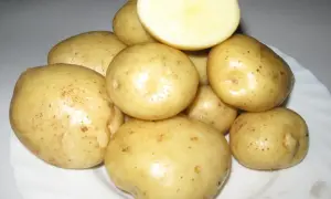 Stos świeżych ziemniaków Lilly na białym talerzu, jeden przekrojony na pół, ukazujący jasny miąższ.