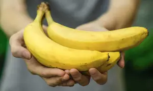 Mani che offrono due banane mature. Forse il detto "2 banane al giorno fanno male" è solo un mito?