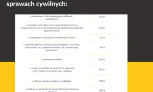 Ile bierze adwokat za reprezentowanie w sądzie? Sprawdź koszty i stawki