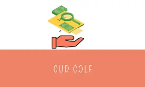 Un documento con la scritta "TAX", banconote e una lente d'ingrandimento sopra una mano aperta. Il CUD COLF è un documento importante.