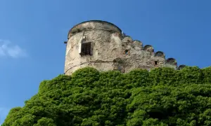 Kamienna wieża zamku na tle błękitnego nieba, otoczona zielenią.
