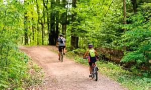 Najlepsze trasy rowerowe w Wielkopolsce - odkryj piękno regionu