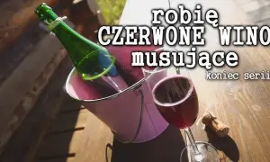 Jak zrobić wino musujące w domu - proste i zaawansowane metody