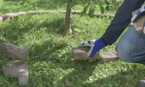 Ręce w rękawiczkach układają kostkę brukową, tworząc obrzeże wokół drzewka. Prosty sposób, jak zrobić obrzeże z kostki brukowej.