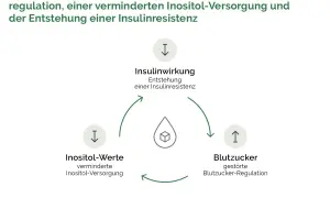 Diagramm zeigt den Kreislauf: verminderte Inositol-Werte beeinflussen die Insulinwirkung und Blutzuckerregulation, was zu Insulinresistenz führt. Die inositol wirkung ist hier zentral.