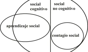 Diagrama de Venn que ilustra el aprendizaje social, dividiendo los conceptos en "social cognitivo" y "social no cognitivo", con "contagio social" como subcategoría.