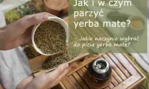 Wsypywanie suszu yerba mate, zioła leczniczego, do naczynia. Obok stoi już przygotowana tykwa z bombillą.