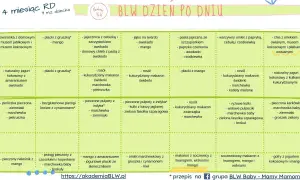 Jadłospis BLW dla 9-miesięcznego dziecka: rozszerzanie diety, ile posiłków dziennie. Propozycje dań na cały dzień.