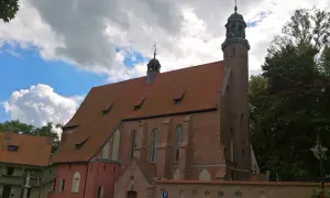 Najciekawsze atrakcje w Żukowie, które musisz zobaczyć i przeżyć