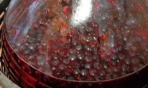 Fermentujący wino wieloowocowe przepis. Widoczne owoce i bąbelki w szkle.
