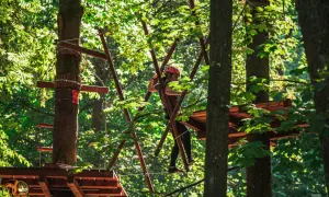 Parki linowe Mazury dla dzieci: Wybierz idealną przygodę!
