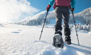 Randonnée en raquettes dans un paysage enneigé. Une personne avance dans la poudreuse, bâtons à la main, profitant des sports neige.