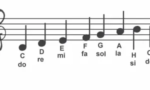 Jak wyglądają nuty na pięciolinii i co oznaczają w muzyce