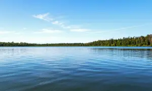 Spokojne jezioro z lasem w tle. Czy to Śniardwy, jak nazywa się największe jezioro w Polsce?