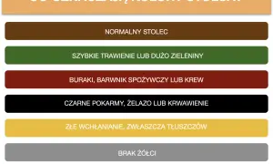 Skala bristolska wyjaśnia kolory stolca: od normalnego, przez szybkie trawienie, po problemy z wchłanianiem czy brak żółci.