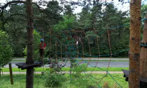 Park Linowy Jura Złoty Potok: Ceny, Trasy, Bezpieczeństwo. Idealny dla rodzin!