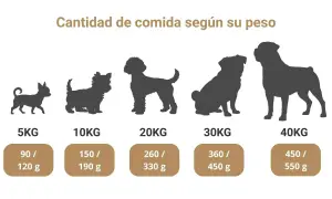 Tabla de cantidad de comida para perros según su peso, desde 5kg hasta 40kg, con raciones diarias recomendadas.