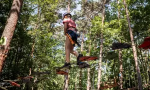 Park linowy Pomiechówek: Dolina Wkry przewodnik rodzinnych przygód