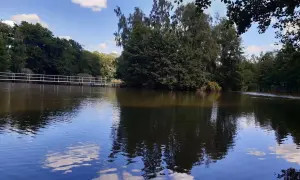 Spokojne jezioro z odbijającymi się chmurami i drzewami. W oddali biały mostek, idealne miejsce na wypoczynek w Golina ośrodek wypoczynkowy.
