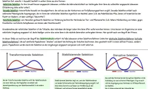 Grafiken illustrieren die Charles Darwin Evolutionstheorie: transformierende, stabilisierende und disruptive Selektion, die die Anpassung von Lebewesen beeinflussen.