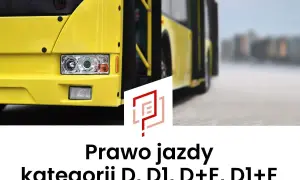 Żółty autobus, symbol prawa jazdy kategorii D, D1, D+E, D1+E.