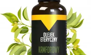 Gdzie kupić olejek kamforowy? Najlepsze miejsca, ceny i zastosowania