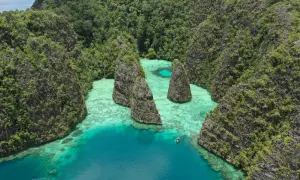 Atemberaubende Karstinseln mit üppiger Vegetation umgeben türkisfarbenes Wasser. Perfekt für die raja ampat beste reisezeit.