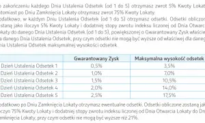 Lokata inwestycyjna: Hybryda zysku i ryzyka. Czy warto inwestować?
