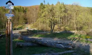 Regietów atrakcje, które zaskoczą każdego miłośnika przyrody
