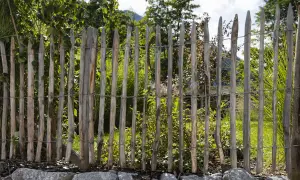 Ein rustikaler Staketenzaun, der mit Draht befestigt ist, grenzt einen üppigen Garten ab.