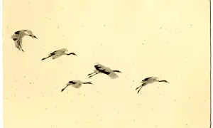 Gruppo di gru in volo, un'opera di Yamamoto Masao, su sfondo giallo tenue con spruzzi dorati.