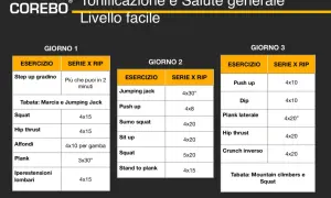 Schema per come iniziare ad allenarsi a casa: esercizi per 3 giorni, con squat, plank e push up.