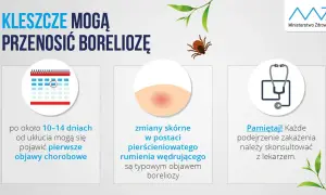 Jak zapobiec boreliozie? Ochrona przed kleszczami krok po kroku