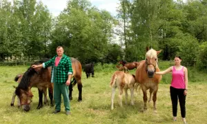 Pańskie oko konia tuczy – co to znaczy i jak wpływa na sukces?