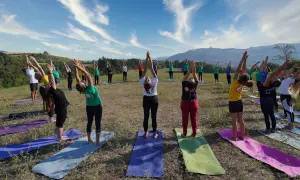 Gruppo di persone in posa urdhva hastasana su tappetini da yoga in un prato verde, con cielo azzurro e nuvole bianche.