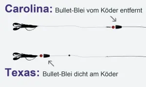 Carolina Rig: Bullet-Blei weit vom Köder entfernt. Texas Rig: Bullet-Blei dicht am Köder.