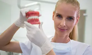 Dentystka w białej rękawiczce pokazuje model szczęki z aparatem ortodontycznym. Zastanawiasz się, ile zarabia dentysta?