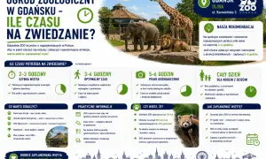 Gdańsk Zoo zaprasza do podziwiania zwierząt. Planuj wizytę, by zobaczyć lwy, żyrafy i inne gatunki.