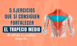 Ejercicios para fortalecer el músculo trapecio y evitar lesiones