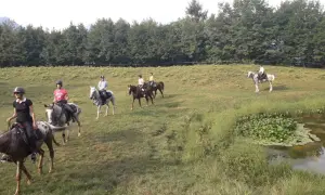 Cavalcata a Toscolano Maderno, un gruppo di persone a cavallo attraversa un prato verde vicino a un laghetto.