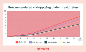 Graf som visar rekommenderad viktuppgång under graviditeten för olika BMI. En hälsosam viktuppgång är viktig.