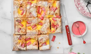 Sliced vanilla squares with rhubarb and custard, dusted with powdered sugar.