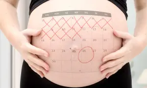 Gravid mage med en kalender överlagd. Röd ring runt den 26:e. Vilken vecka gravid?