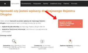 Jak pobrać raport KRD bez problemów i ukrytych kosztów?