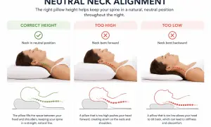 Illustrations show correct, too high, and too low pillow thickness for neutral neck alignment.