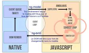 Schéma expliquant le fonctionnement d'AngularJS, avec l'event loop, le DOM render et le digest loop.