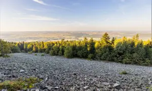 Kamieniste zbocze i las w Świętokrzyskim Parku Narodowym. Ciekawostki przyrodnicze tego miejsca zachwycają.