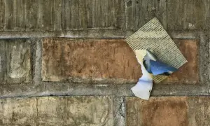 Fragment starej ceglanej ściany z resztkami siatki i papieru. Ciekawi mnie, ile schnie zaprawa murarska w takich warunkach.
